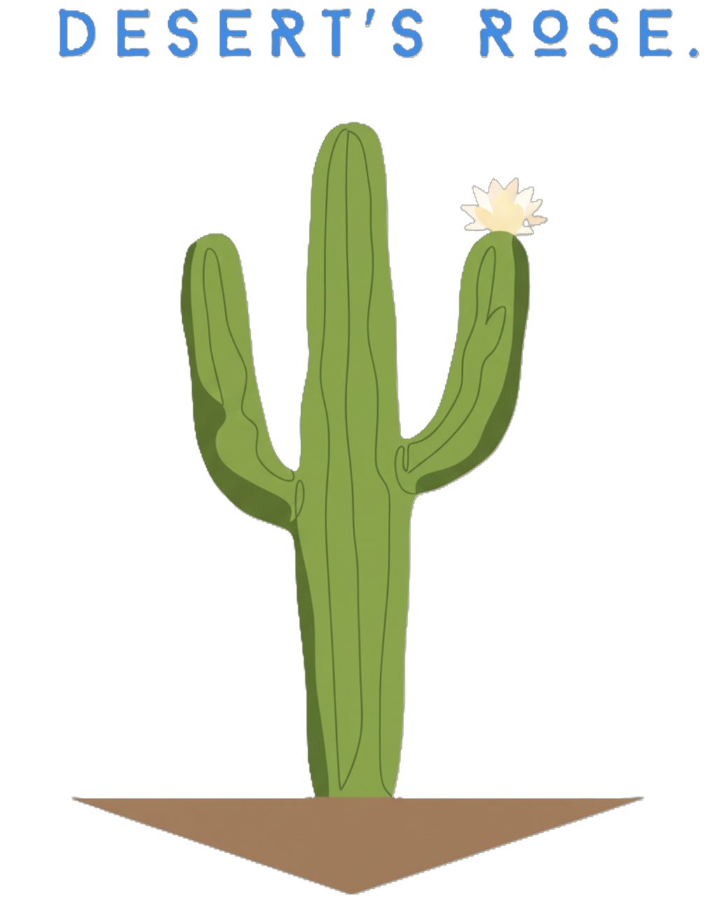 "CACTUS "  Terry Oversized Graphic Printed T-shirt